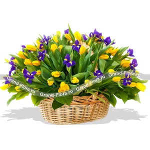 Лучики солнца