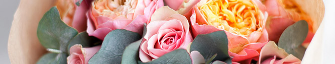 купить цветы Новая Зеландия от Grand-flora